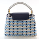 Louis Vuitton Taurillon Gui...