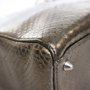 Dior Medium Python Lady Dior