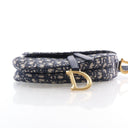 Christian Dior Medium Obliq...