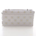 Christian Dior Wallet on Chain