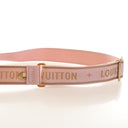 Louis Vuitton Monogram Mult...