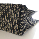 Christian Dior Large Obliqu...