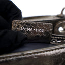 Dior Medium Python Lady Dior