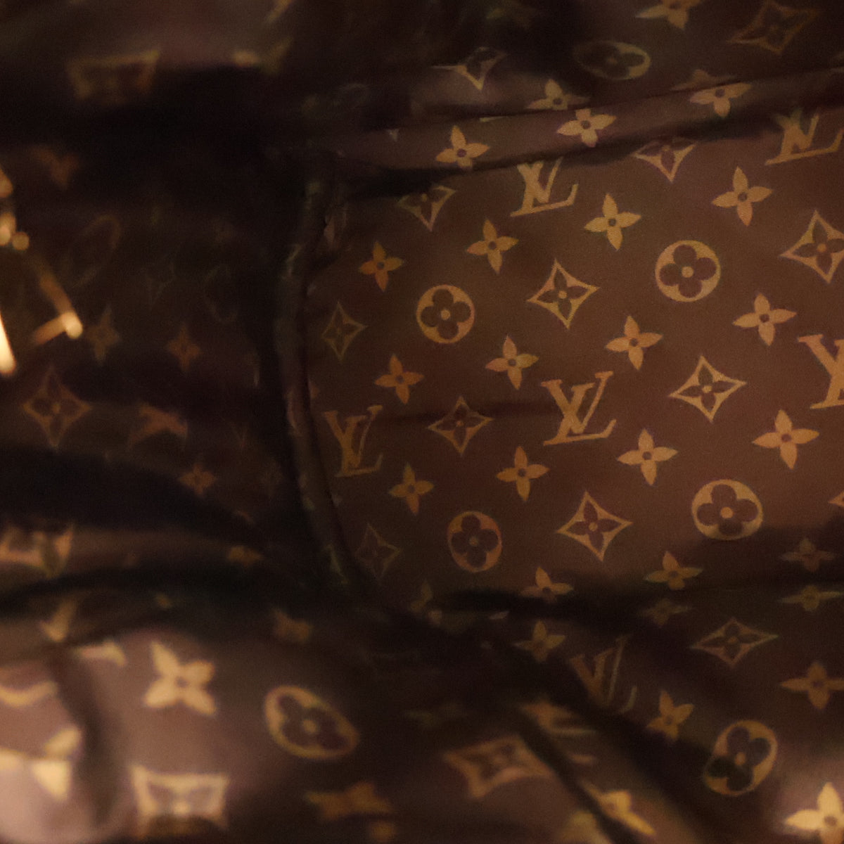 Louis Vuitton Monogram Giant Econyl Pillow Speedy Bandouliere 25, photo 16 of 18