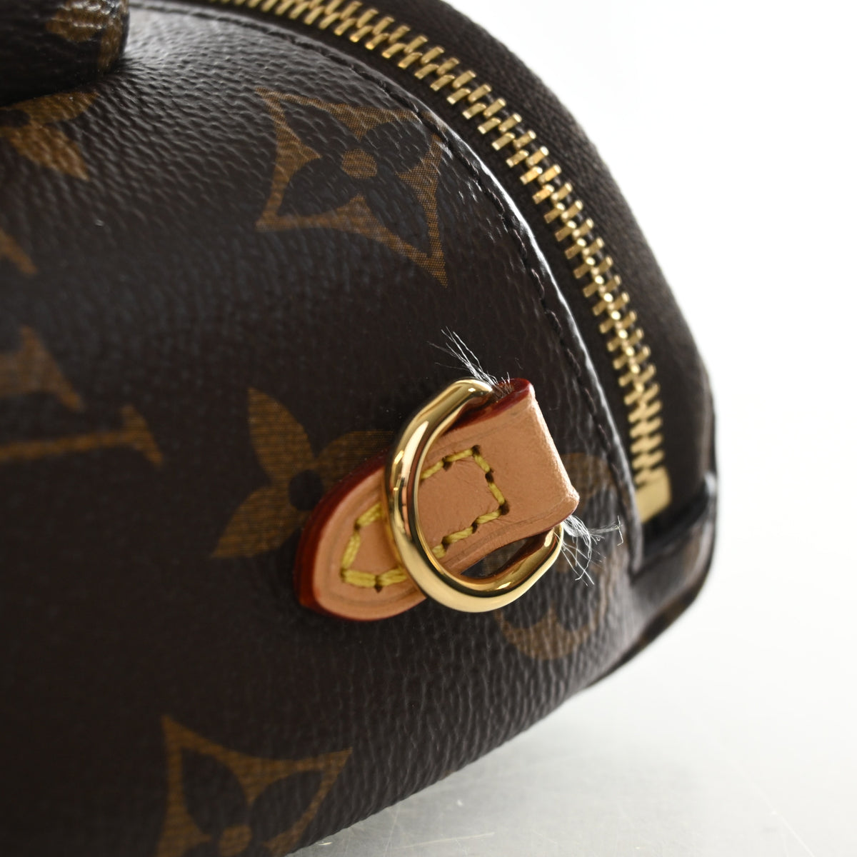 Louis Vuitton Monogram Mini Bumbag, photo 8 of 12