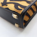 Fendi Mini Canvas Sunshine ...