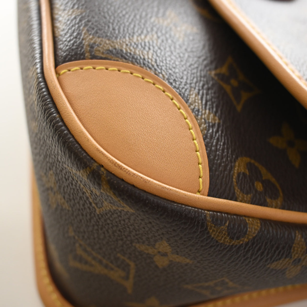 Louis Vuitton Monogram Diane, photo 16 of 18