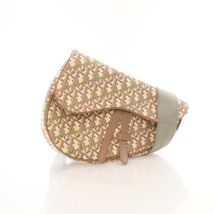 Dior Medium Oblique Saddle Bag