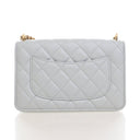 Chanel Lambskin Camellia Pe...