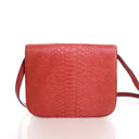Celine Medium Python Box Bag