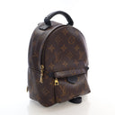 Louis Vuitton Monogram Palm...