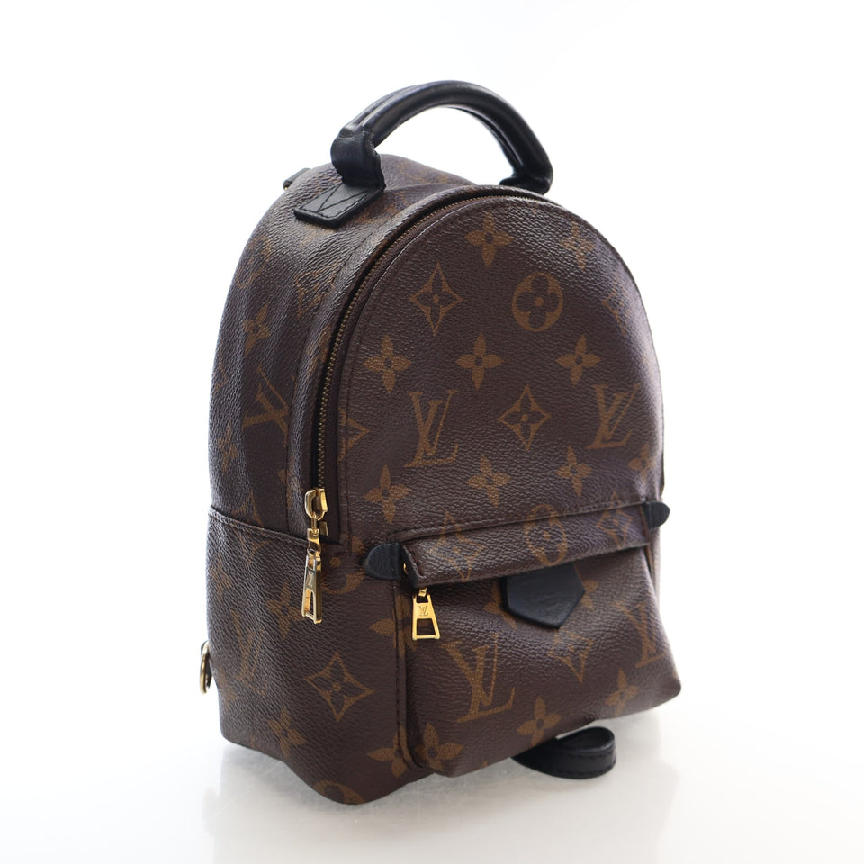 Louis Vuitton Monogram Palm Springs Mini