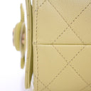 Chanel Mini Caviar 25 Hobo