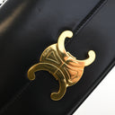 Celine Shiny Calfskin Claud...