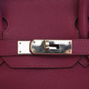 Hermes Tosca Togo Birkin 30