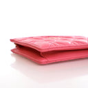 Dior Calfskin Caro Every Di...