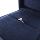 LV Diamonds Solitaire Monog...