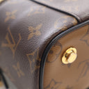 Louis Vuitton Monogram Vani...