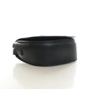 Celine Calfskin Triomphe Folco