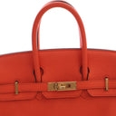Hermes Feu Togo Birkin 25