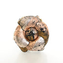 Product - Chanel Camellia B...