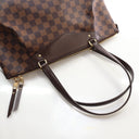 Louis Vuitton Damier Ebene ...