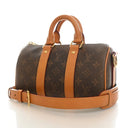 Louis Vuitton Monogram Dust...