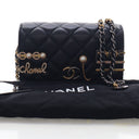 Chanel Lambskin Coco Clips ...