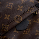 Louis Vuitton Monogram Palm...