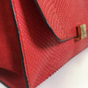 Celine Medium Python Trapeze
