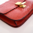 Celine Medium Python Box Bag