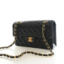 Chanel Small Caviar Classic...