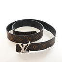 Louis Vuitton Monogram LV I...