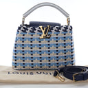 Louis Vuitton Taurillon Gui...