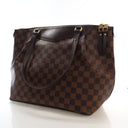 Louis Vuitton Damier Ebene ...