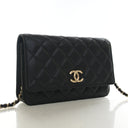Hover Product -Chanel Cavia...