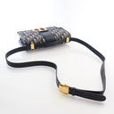 Christian Dior Canvas Obliq...