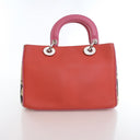 Dior Small Calfskin and Pyt...