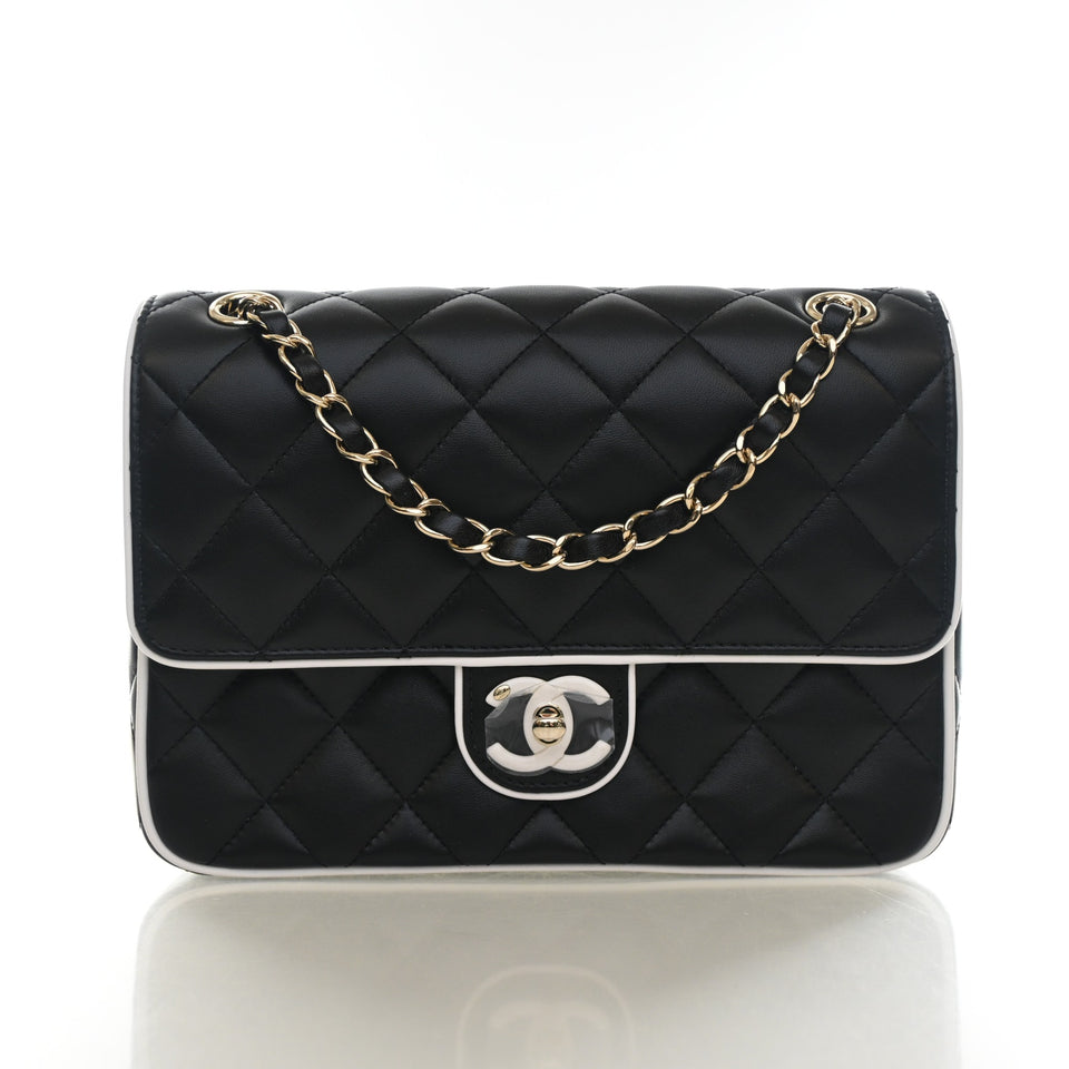 Chanel Small Lambskin Resin CC Flap Bag