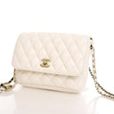 Chanel Lambskin Quilted Sid...