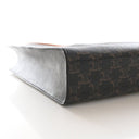 Celine Small Triomphe Canva...