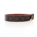 Louis Vuitton Monogram Poch...