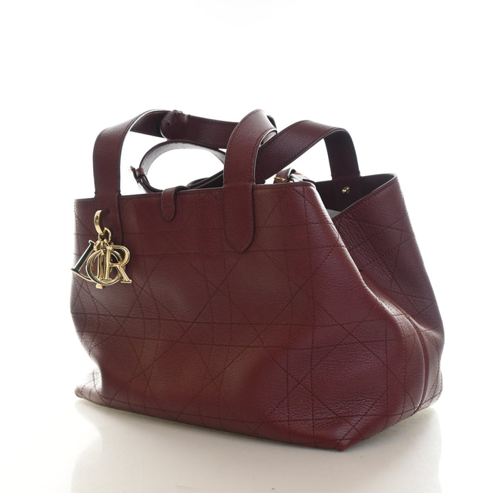 Christian Dior Medium Calfskin Toujours