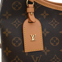 Louis Vuitton Monogram Carr...