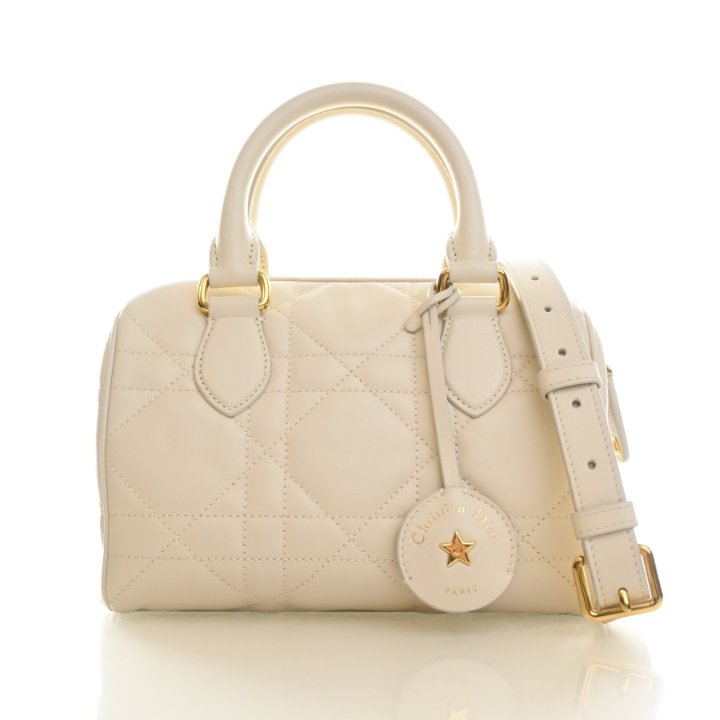 Christian Dior Calfskin Groove 20