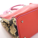 Dior Small Calfskin and Pyt...