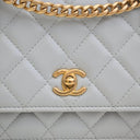 Chanel Lambskin Camellia Pe...