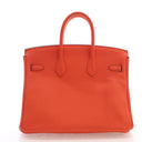 Hermes Feu Togo Birkin 25