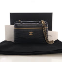 Chanel Small Crocodile Embo...
