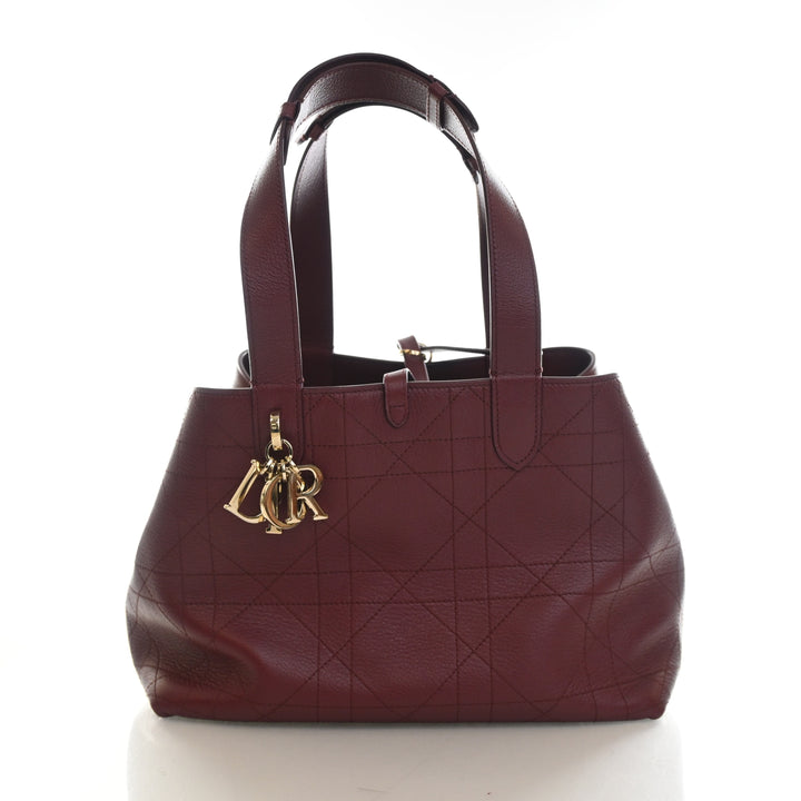 Christian Dior Medium Calfskin Toujours